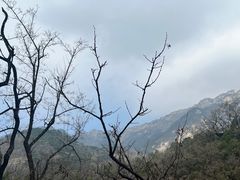 -泰山风景名胜区