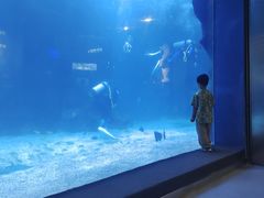 -石家庄海洋公园