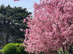 -北京友谊宾馆·俄罗斯餐厅