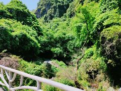-夏霖九天银瀑风景区