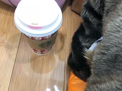 -星巴克(天津鲁能中心第三店)