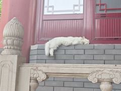 -天津市峰山药王古寺