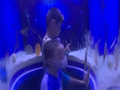 -芜湖新华联大白鲸海洋公园