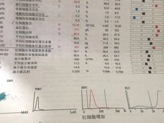 -瑞鹏宠物医院·骨科·猫科·内科(第一中心)