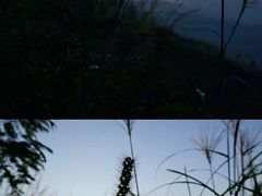 -东白山