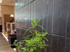 -CURRY YA 熟成咖哩專門店(深圳湾万象城店)