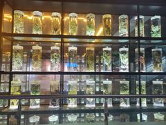 -广东中医药博物馆