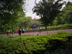 -重庆彩云湖湿地公园