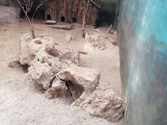 -昆明动物园