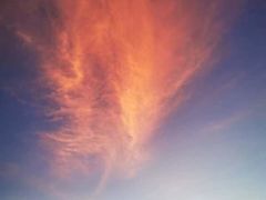 -大梅沙游艇度假酒店