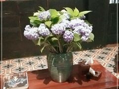 -翠园十八号庭院餐厅