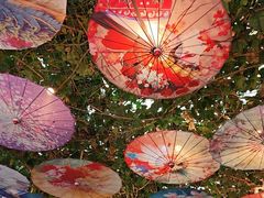 -海韵人家.海景花园经典云南菜(双廊店)