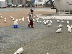 -烟台海昌鲸鲨海洋公园