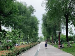 -眉山湿地公园(东坡区)