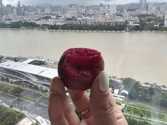 -广州香格里拉酒店