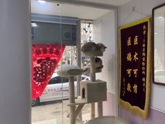 -A猫a狗全科·犬猫异宠·芥西宠物医院(南开总院)