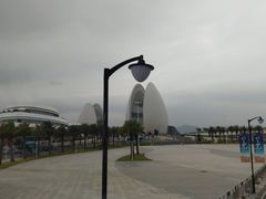 -野狸岛