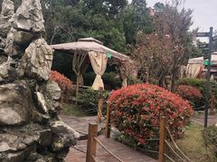 -二荆条·蜀鲜汇城市森林火锅