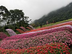 -广州市石门国家森林公园