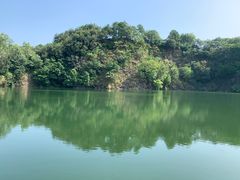 -王借岗森林公园