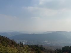 -冶父山国家森林公园