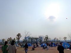 -九龙湖公园
