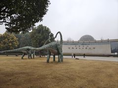 -中国西峡恐龙遗迹园