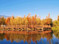 -崇圣寺三塔文化旅游区