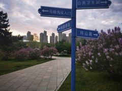 -群力丁香公园