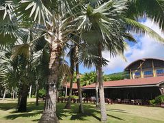 -宴悦海鲜餐厅·游水海鲜·牛排(亚龙湾瑞吉店)