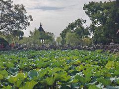 -无锡蠡湖国家湿地公园-蠡园