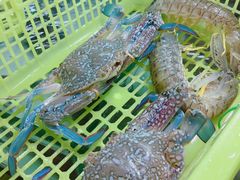 -班赞海鲜市场