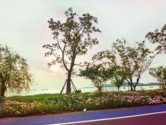 -苏州太湖湖滨国家湿地公园