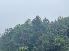 -福清灵石山国家森林公园