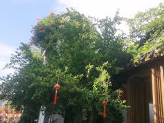 -鲤院·新中式美学·庭院餐厅(夫子庙店)
