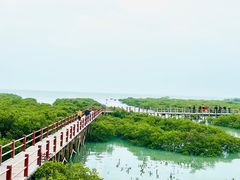-北海金海湾红树林生态旅游区