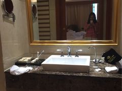 -圣爵菲斯大酒店(长沙世界之窗店)