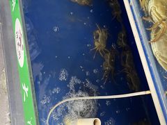 -阳澄湖大闸蟹·琼灵阁牌品牌连锁(吴中总店)