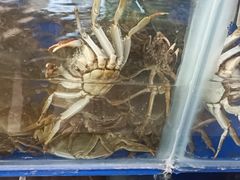 -阳澄湖大闸蟹·琼灵阁牌品牌连锁(吴中总店)