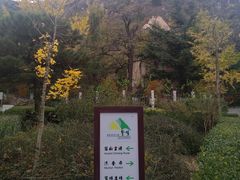 -北京鹫峰国家森林公园
