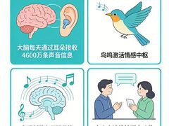 -自然之声助听器(平凉店)