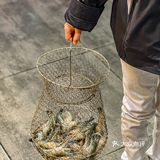 周末可以带着宝宝一起逛吃的钓虾馆🎣