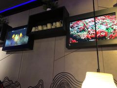 海草-炉鱼(平湖八佰伴店)