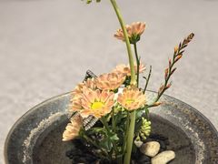 -花锦堂·隐庐
