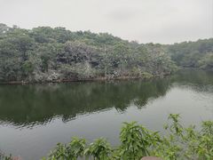 -广州莲花山旅游区