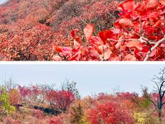 -周口店坡峰岭风景区