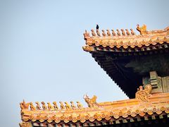 -故宫博物院(故宫)