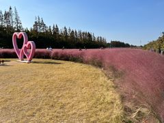-嘉北郊野公园