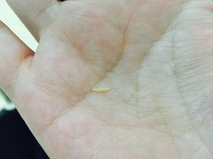 -上海市长宁区天山中医医院