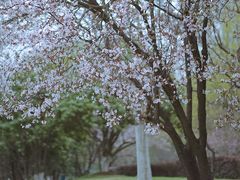 -天鹅湖体育公园